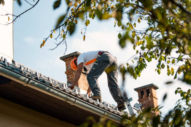 Best Roof Moss and Algae Removal  in Wautoma, WI