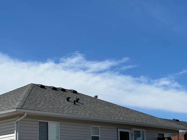 Best Roof Installation  in Wautoma, WI